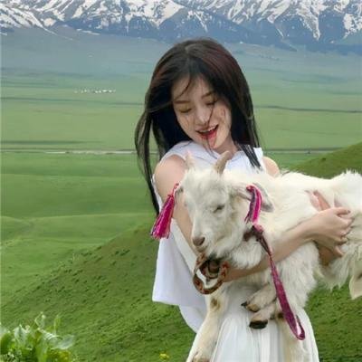 晚间太阳(2016年电影)